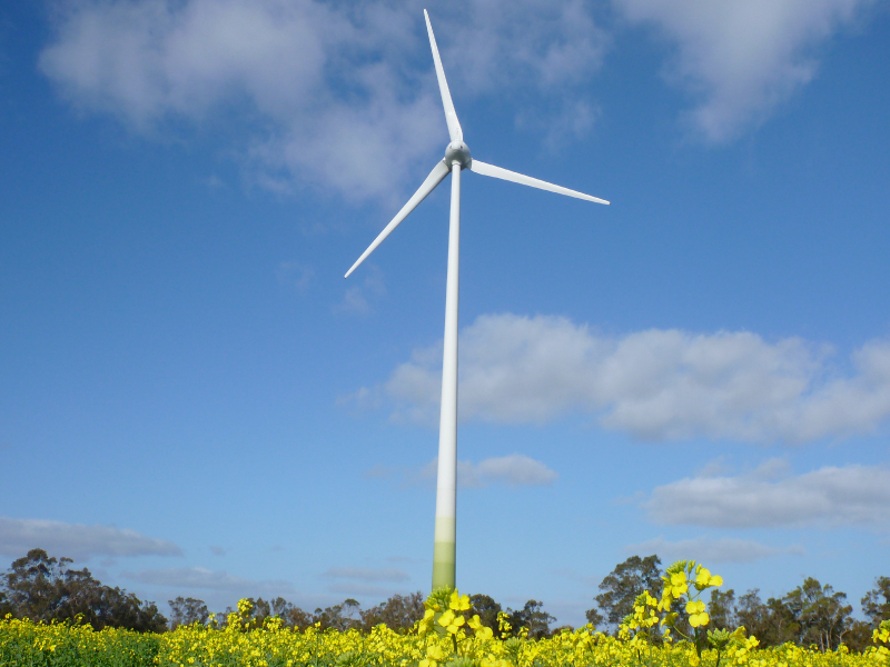 Mt-Barker-Wind-Farm